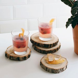 Ein stilvolles Arrangement von zwei Getränken auf Holzscheiben, mit frischen Zitrusfrüchten und einer Topfpflanze im Bild.