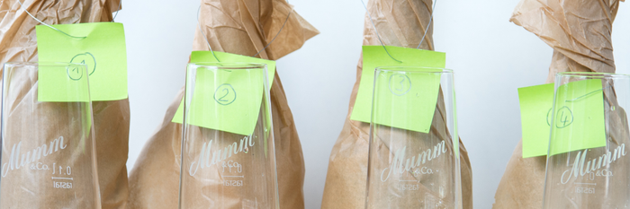 Die Sektgläser sind nummeriert und in braunes Papier gewickelt, was auf eine besondere Veranstaltung hinweist.