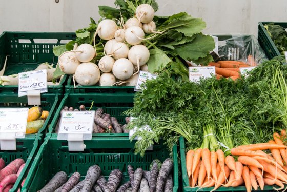 Bunte Auswahl an frischem Gemüse, darunter Karotten, Radieschen und Rüben, in grünen Kisten auf einem Markt.