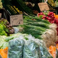 Ein bunter Marktstand mit frischem Gemüse, darunter Radieschen, Salat und Kürbis, umgeben von lebhaften Farben und Texturen.