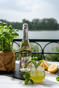 Ein sonniger Tisch mit einem Glas Getränk, einer Flasche Mumm und frischen Zitronen, umgeben von üppigem Grün am Wasser.