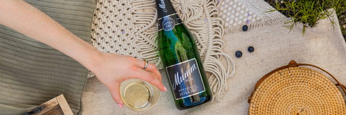 Ein Picknick-Setup mit Sekt, frischen Früchten und Crackern, umgeben von einer natürlichen Umgebung und einer gemütlichen Decke.