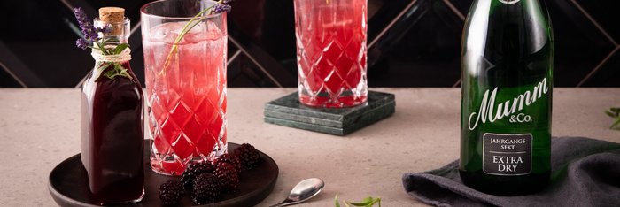 Ein elegantes Arrangement mit zwei Gläsern eines pinken Cocktails, dekoriert mit Lavendel und frischen Brombeeren.