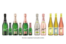 Eine Auswahl an Mumm-Sektflaschen in verschiedenen Größen und Geschmacksrichtungen, die auf einem weißen Hintergrund präsentiert werden.